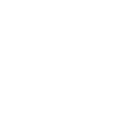 Detailreich Modell
